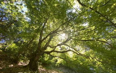 Vers une vie plus épanouissante et équilibrée !