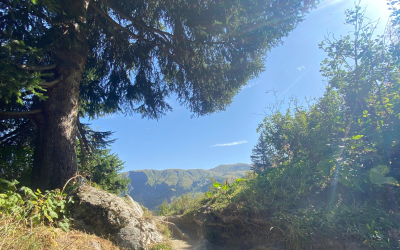 Mieux communiquer: j&rsquo;apaise mon ego pour moins de conflits